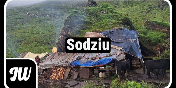 What Is Sodziu? The Simple Village Life of Lithuania That Everyone Is Talking About